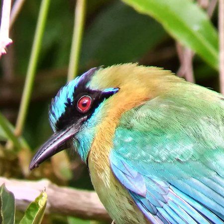 Curi Cancha Wildlife Refuge